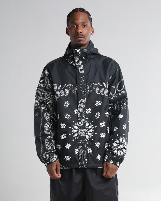Paisley